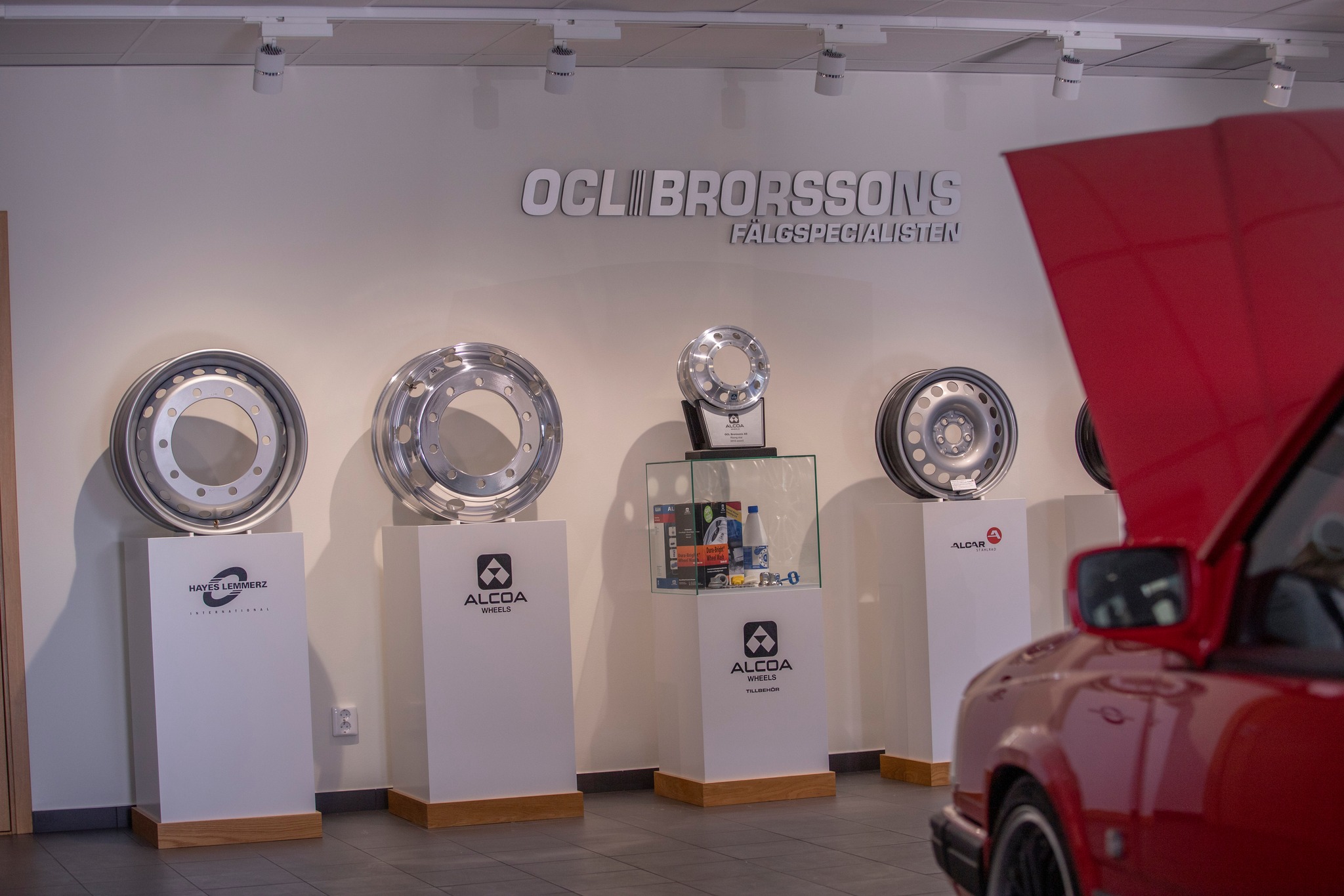 348595977 810240030522811 7096022408509835644 N