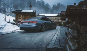 DOTZ LagunaSeca grey Audi A8 rear