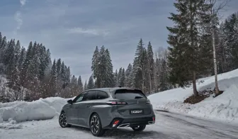 DEZENT AP dark Peugeot 308 rear