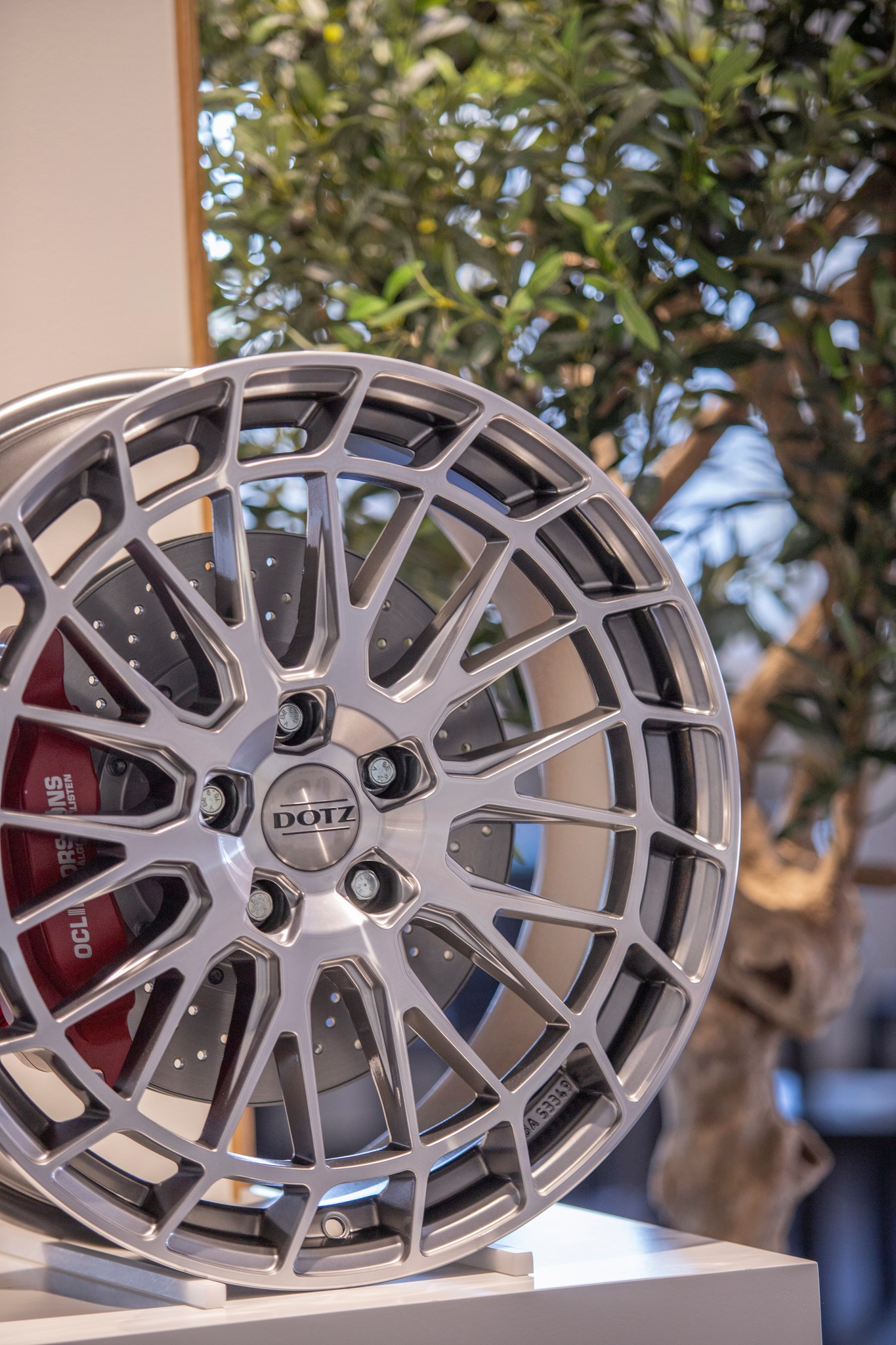 348557381 785121489653812 1418775640589289739 N