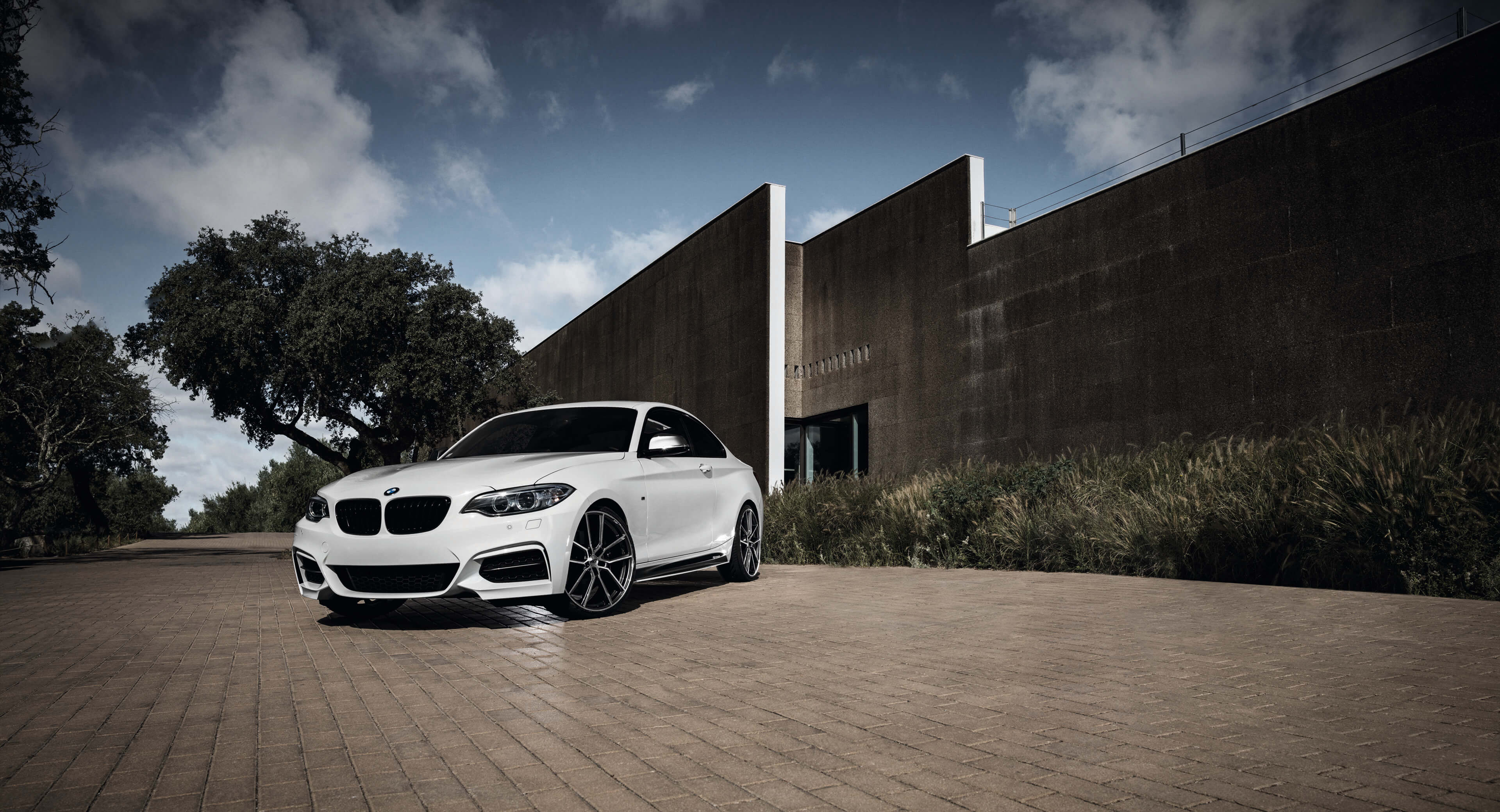 AEZ Raise BMW M235i alloy wheel 17 - 20 inch ALCAR