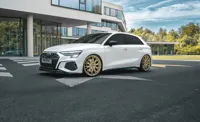 DOTZ Fuji gold Audi S3 frontal