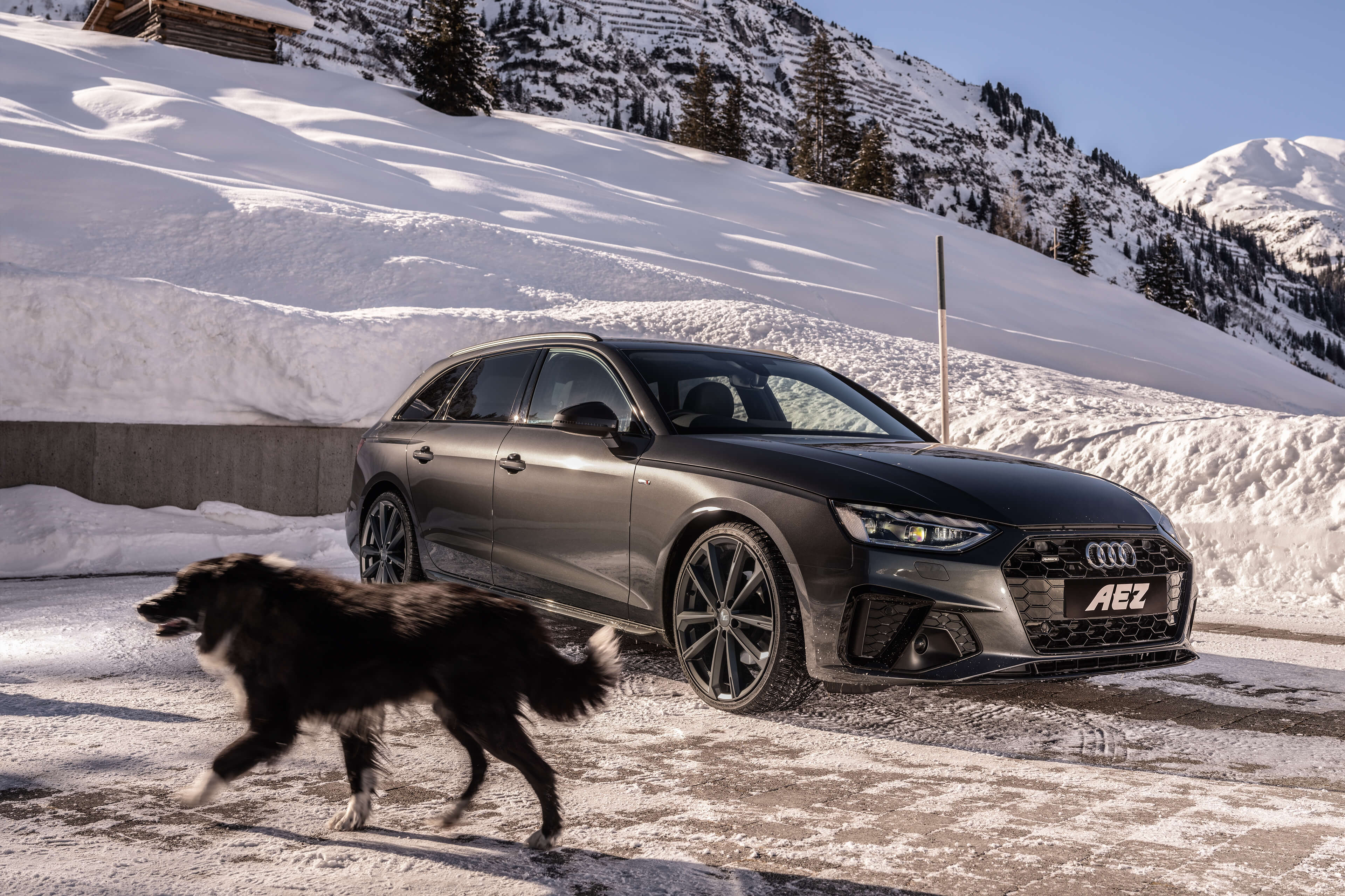 AEZ Aruba graphite Audi A4 front