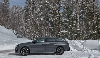 DEZENT AP dark Peugeot 308 side
