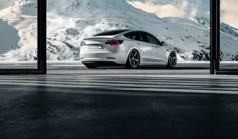 DOTZ MarinaBay dark Tesla Model 3 rear