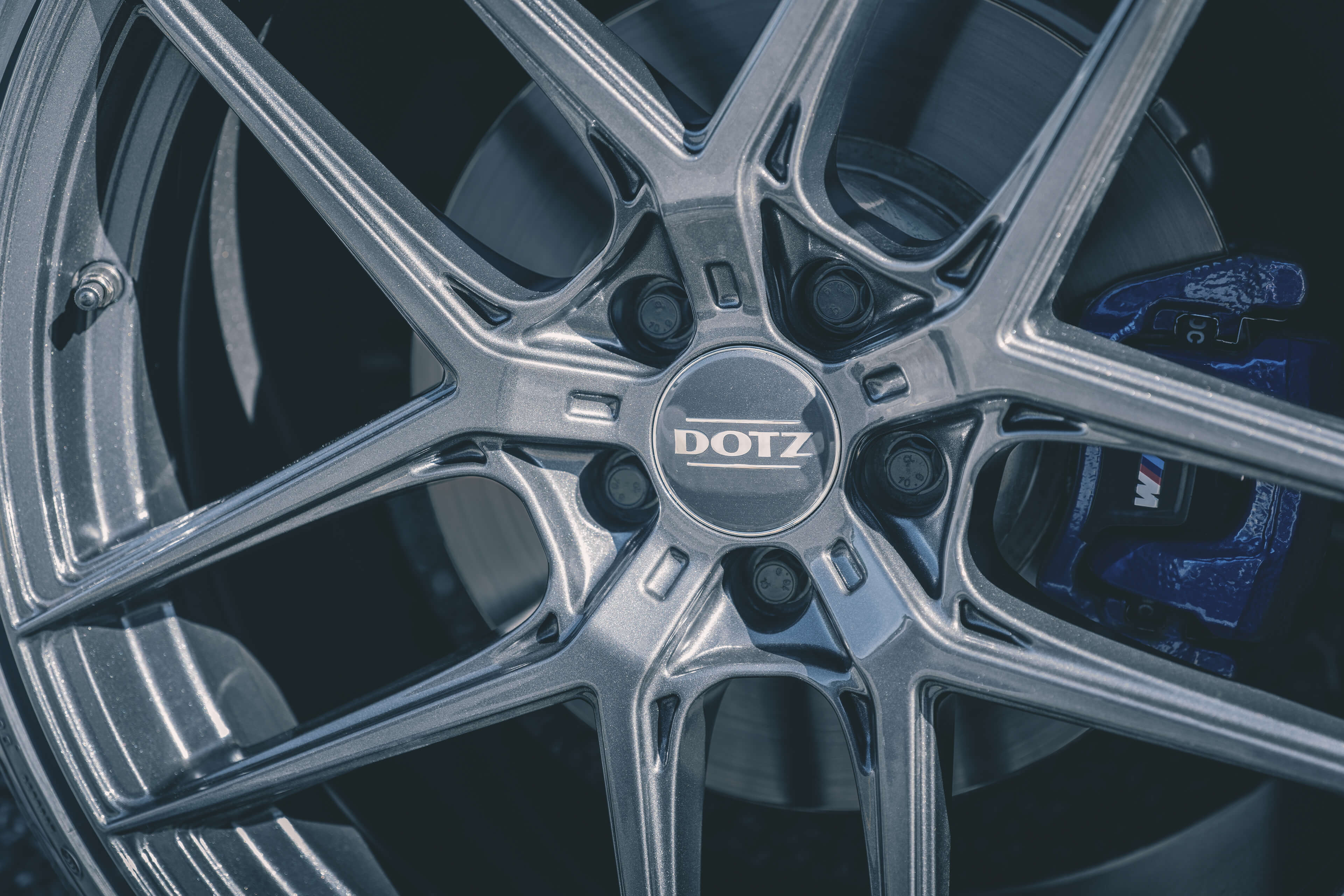 Lagunaseca Grey BMW 5 5