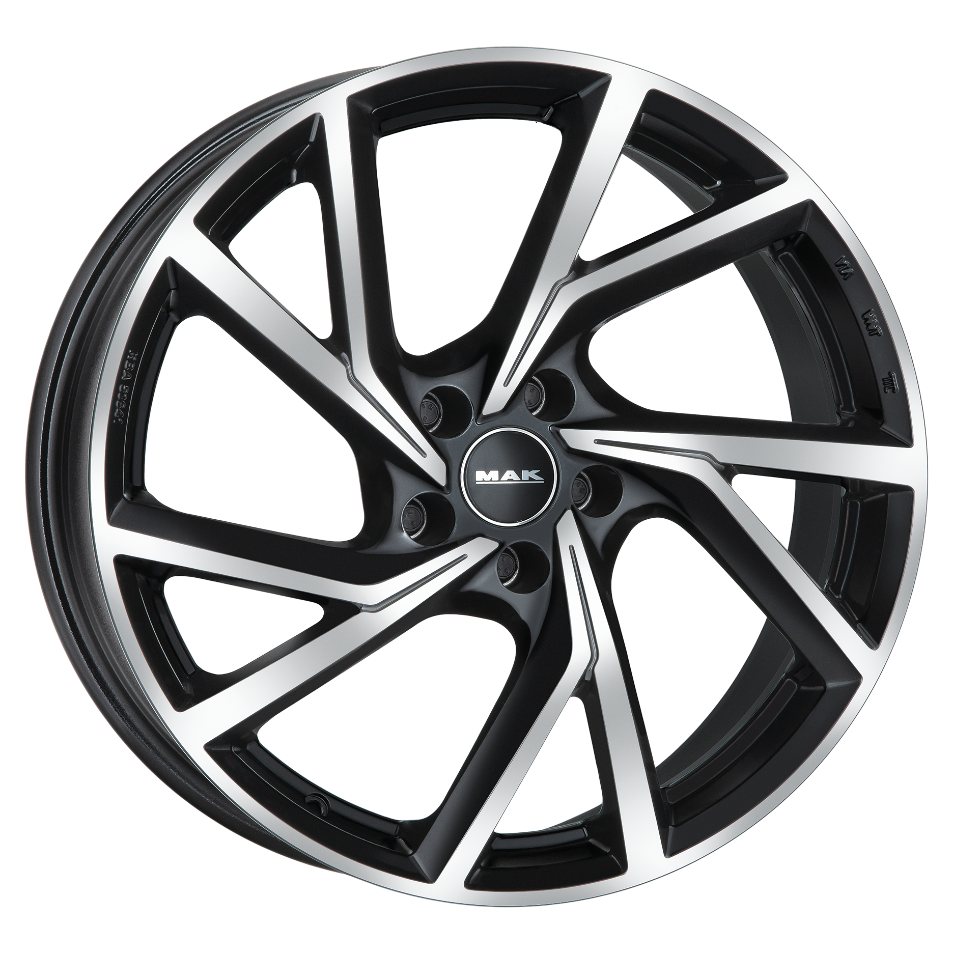 MAK Kassel Black Mirror Ant