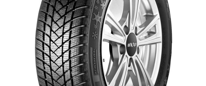 GT Radial Winterpro2 Full