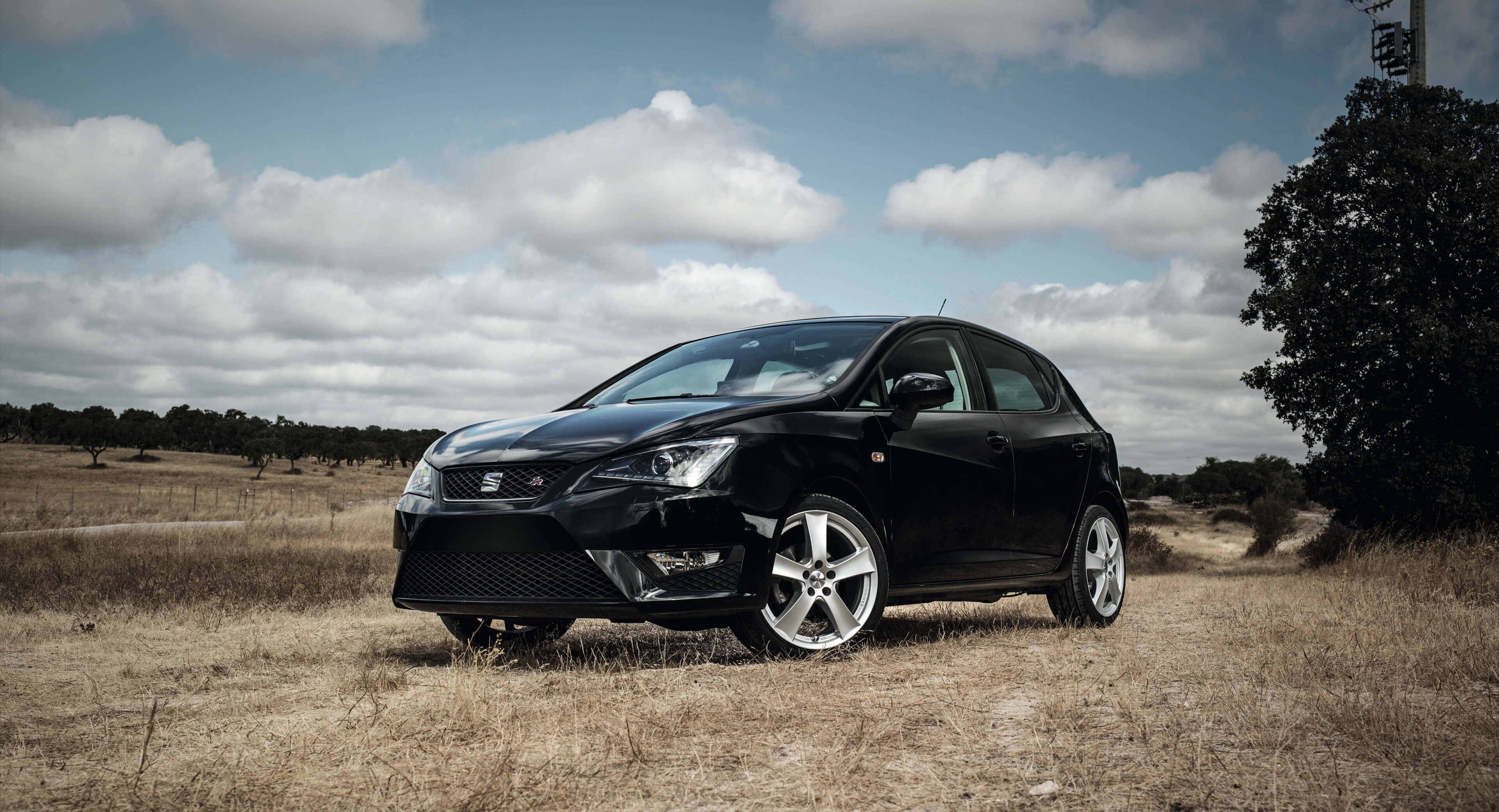 DEZENT TX alloy wheel OE-style SEAT Ibiza 14-18 Zoll