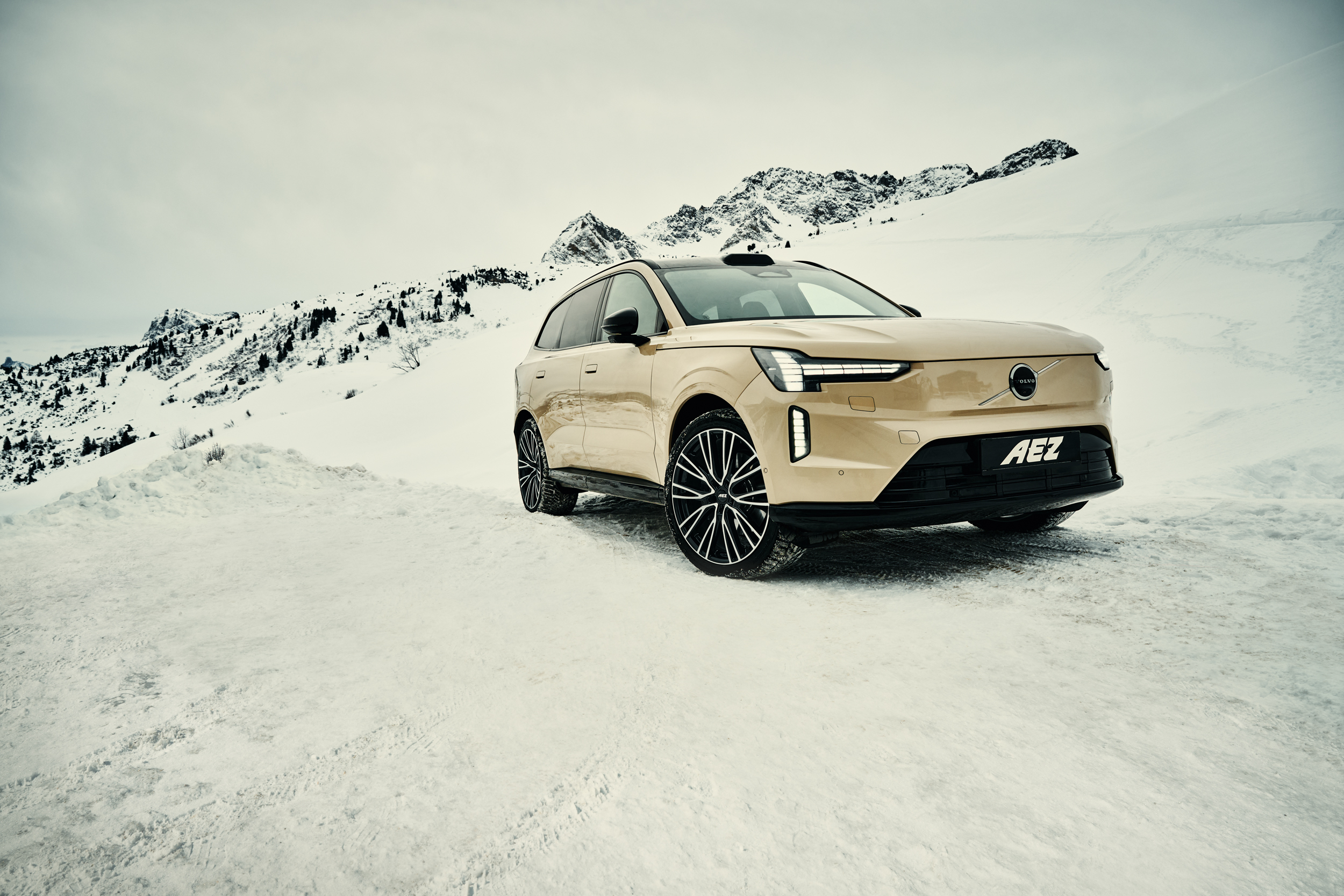 ALCAR AEZ Winter 2026 02516