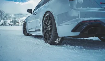 DOTZ Suzuka Black Audi RS5 rear